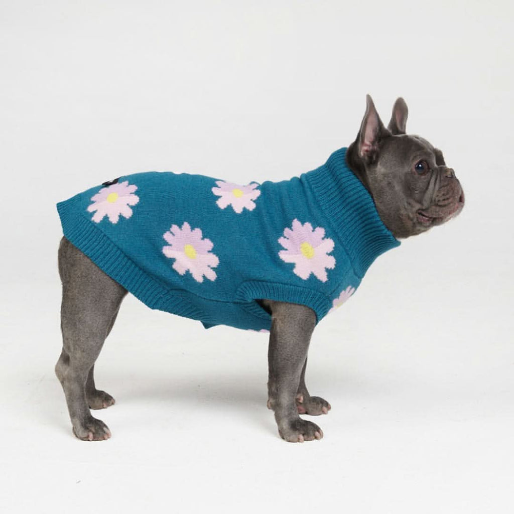 Dog Sweater product image 3