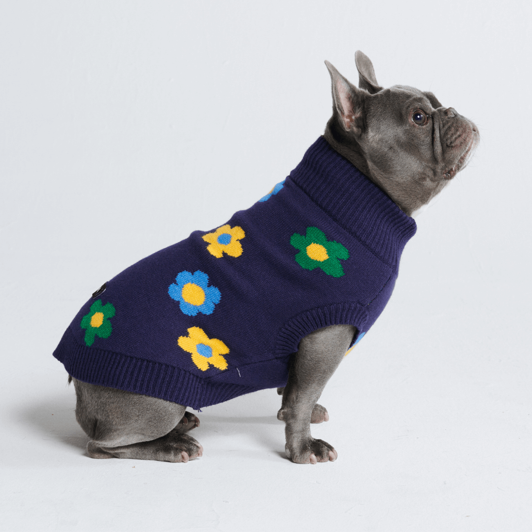 Dog Sweater product image 13