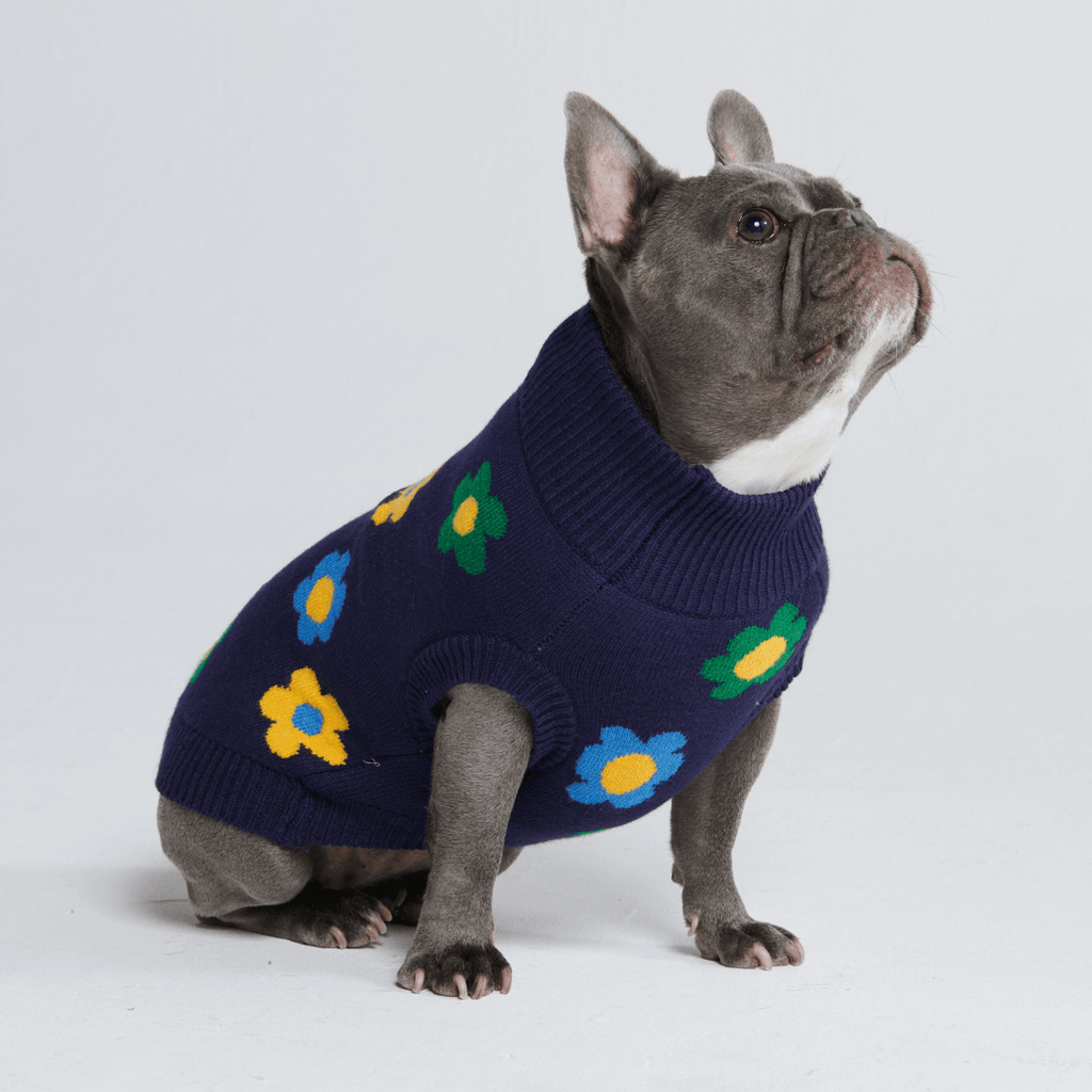 Dog Sweater product image 14