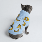 Dog Sweater product image 16