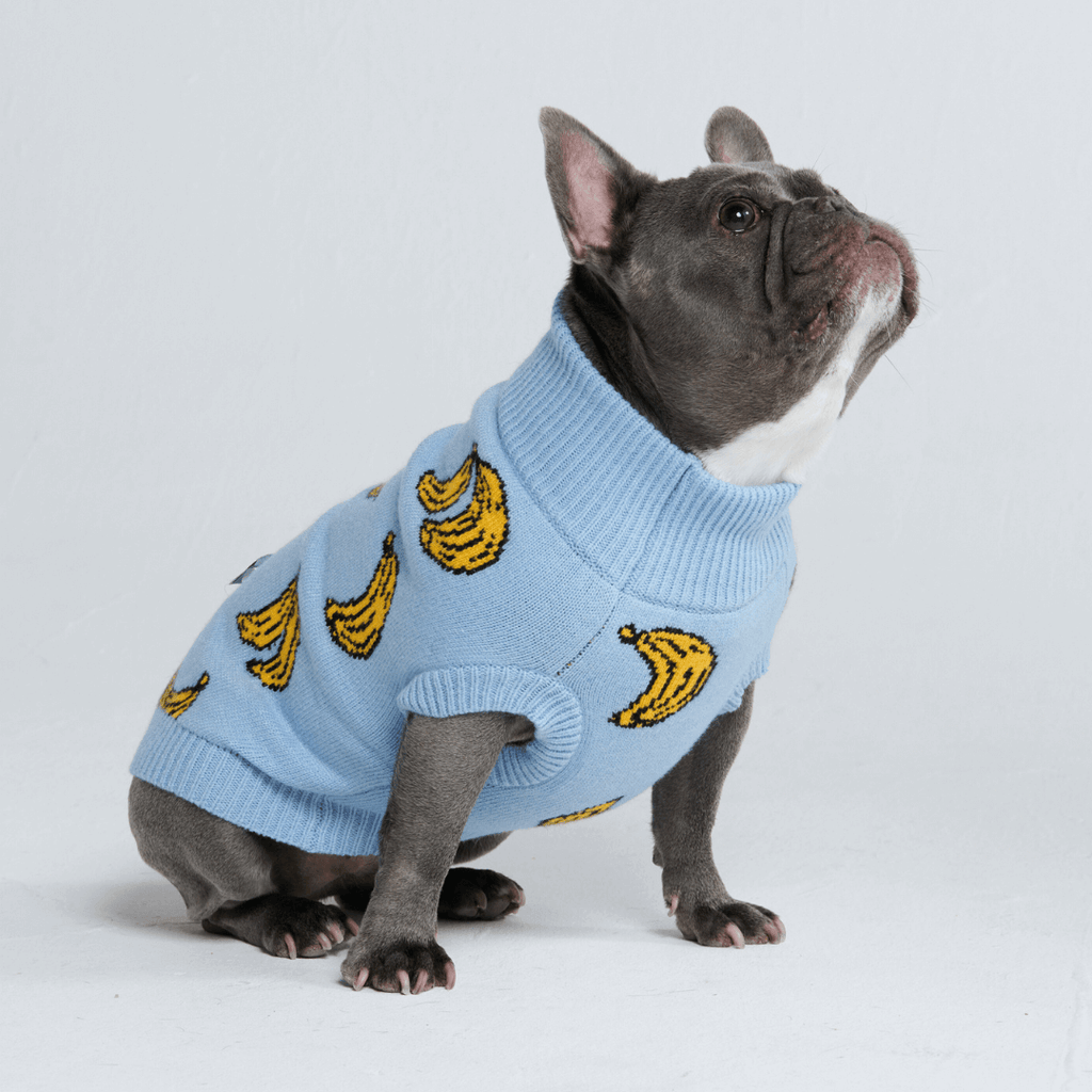 Dog Sweater product image 18