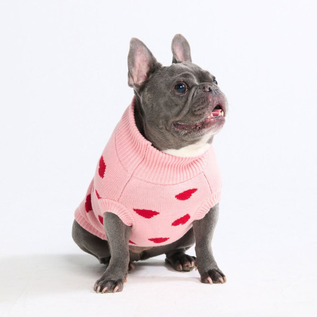 Dog Sweater product image 30