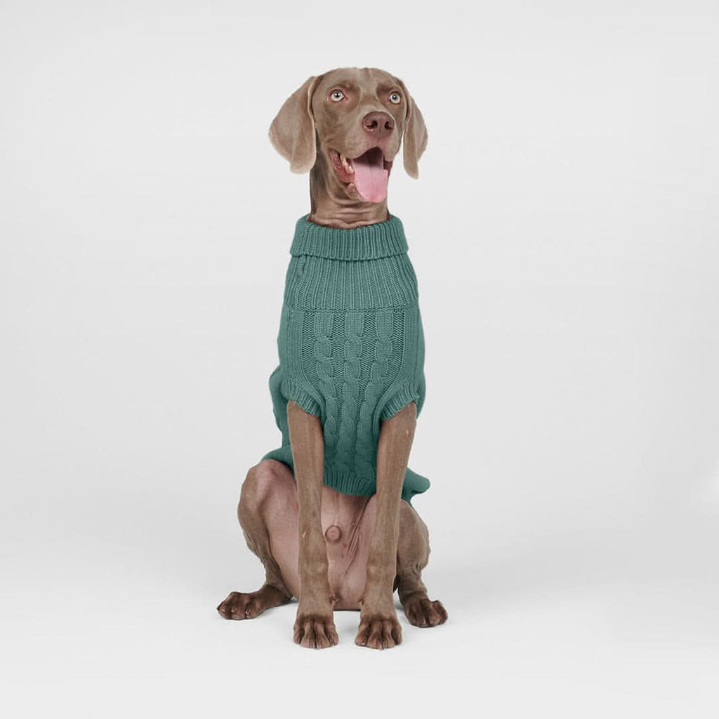 Cable Knit Dog Sweater product image 3