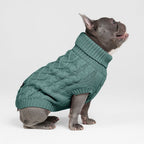 Cable Knit Dog Sweater, S