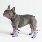 Dog Boots product image 2