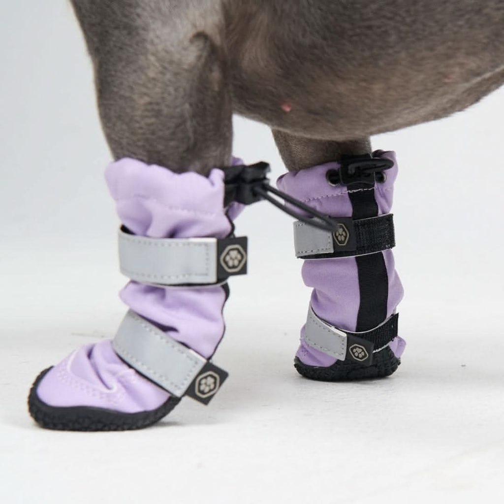 Dog Boots product image 3