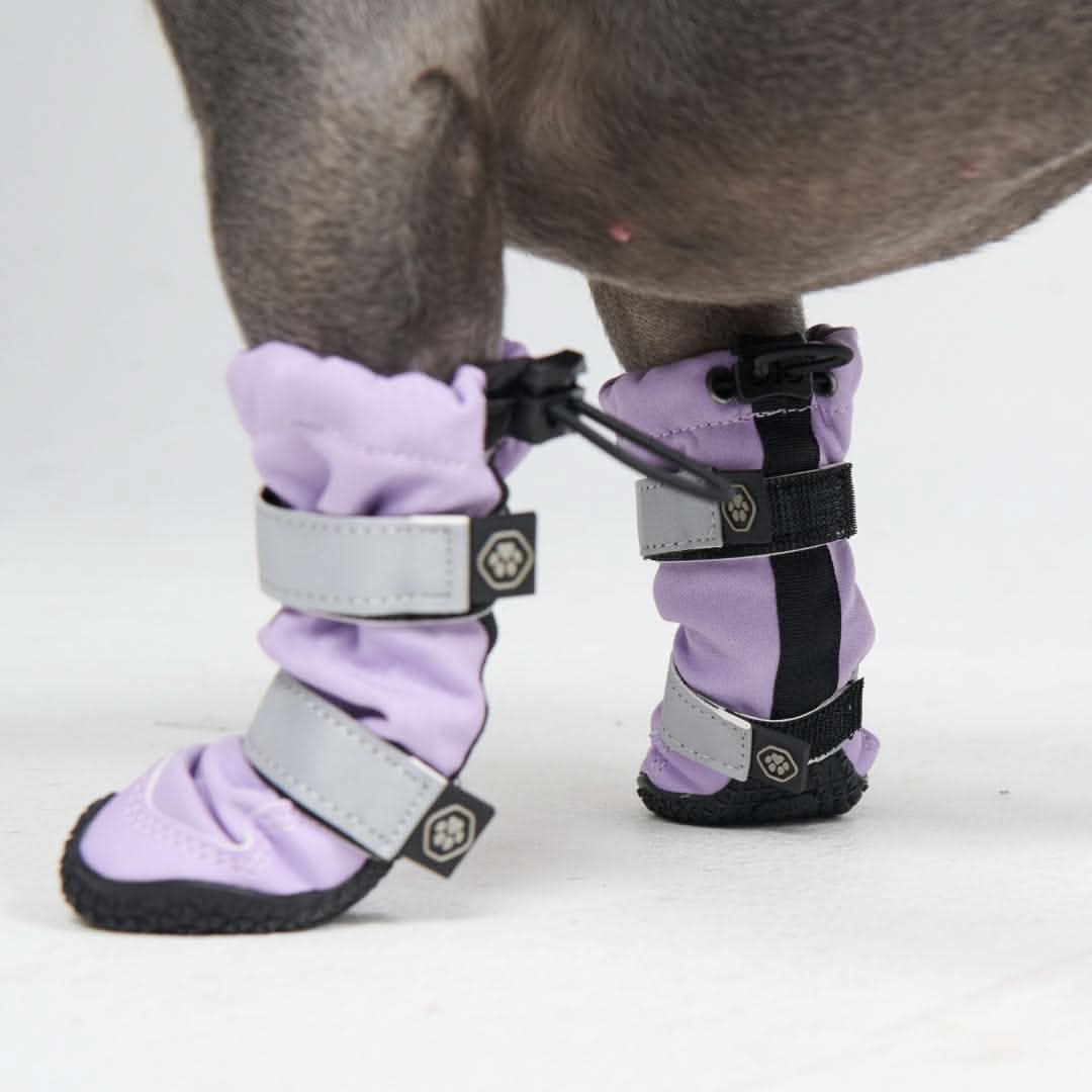 Dog Boots product image 3