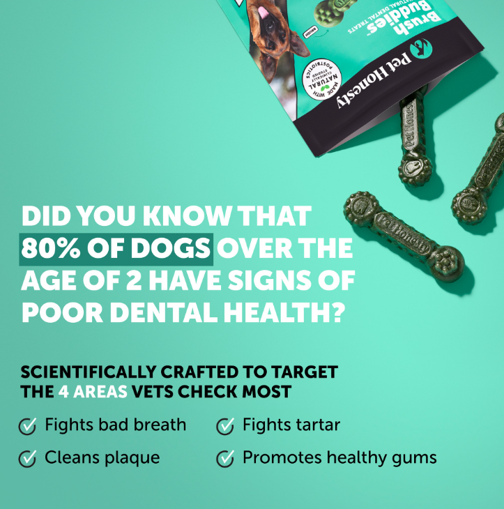 Dog Dental Chews product image 2