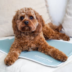 Pressure-Activated Cooling Pet Pad product image 2