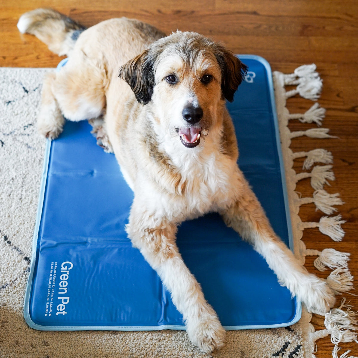 Pressure-Activated Cooling Pet Pad product image 4