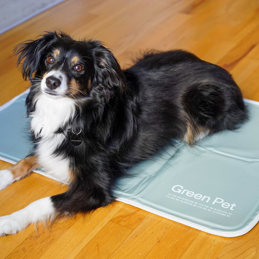 Pressure-Activated Cooling Pet Pad product image 5
