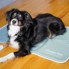 Pressure-Activated Cooling Pet Pad product image 5