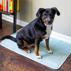Pressure-Activated Cooling Pet Pad product image 6