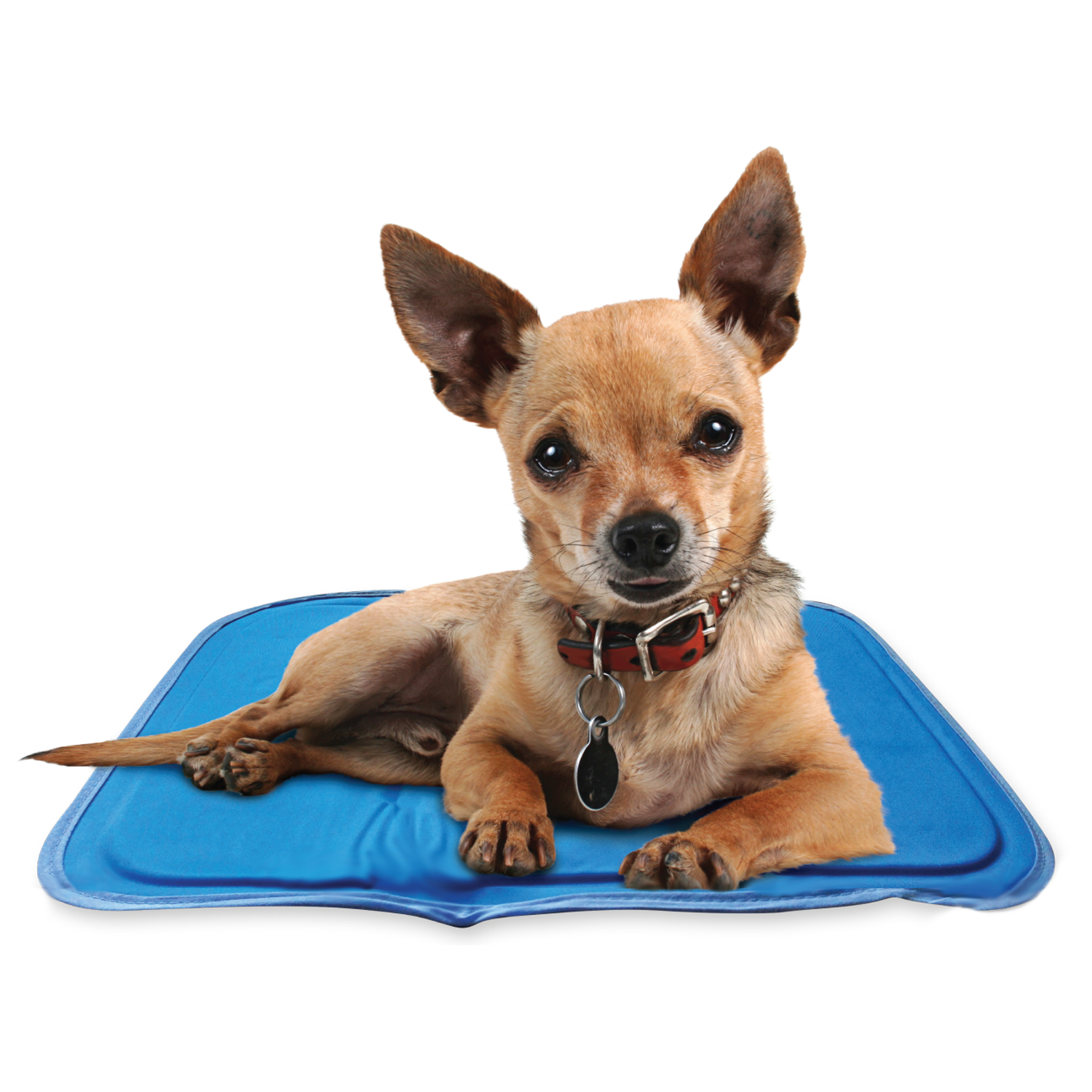Pressure-Activated Cooling Pet Pad product image 7