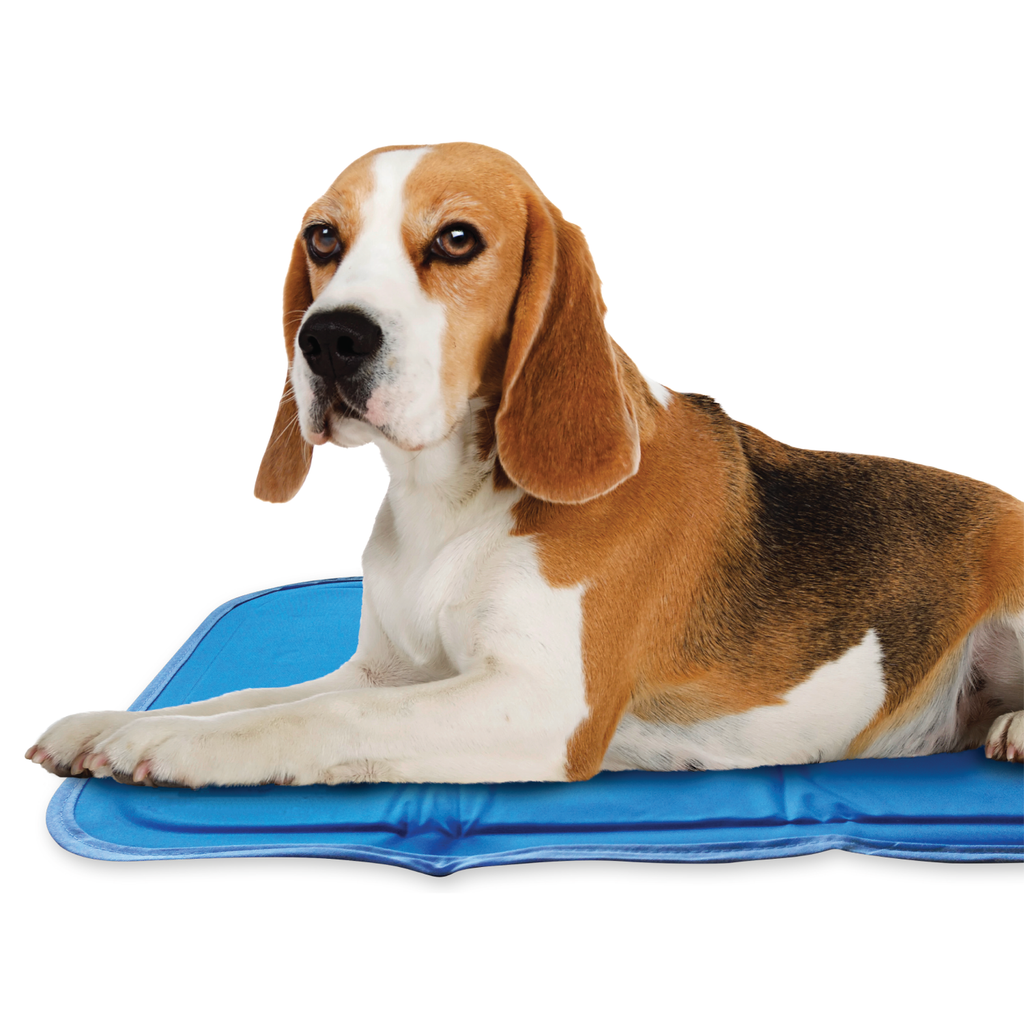 Pressure-Activated Cooling Pet Pad product image 8