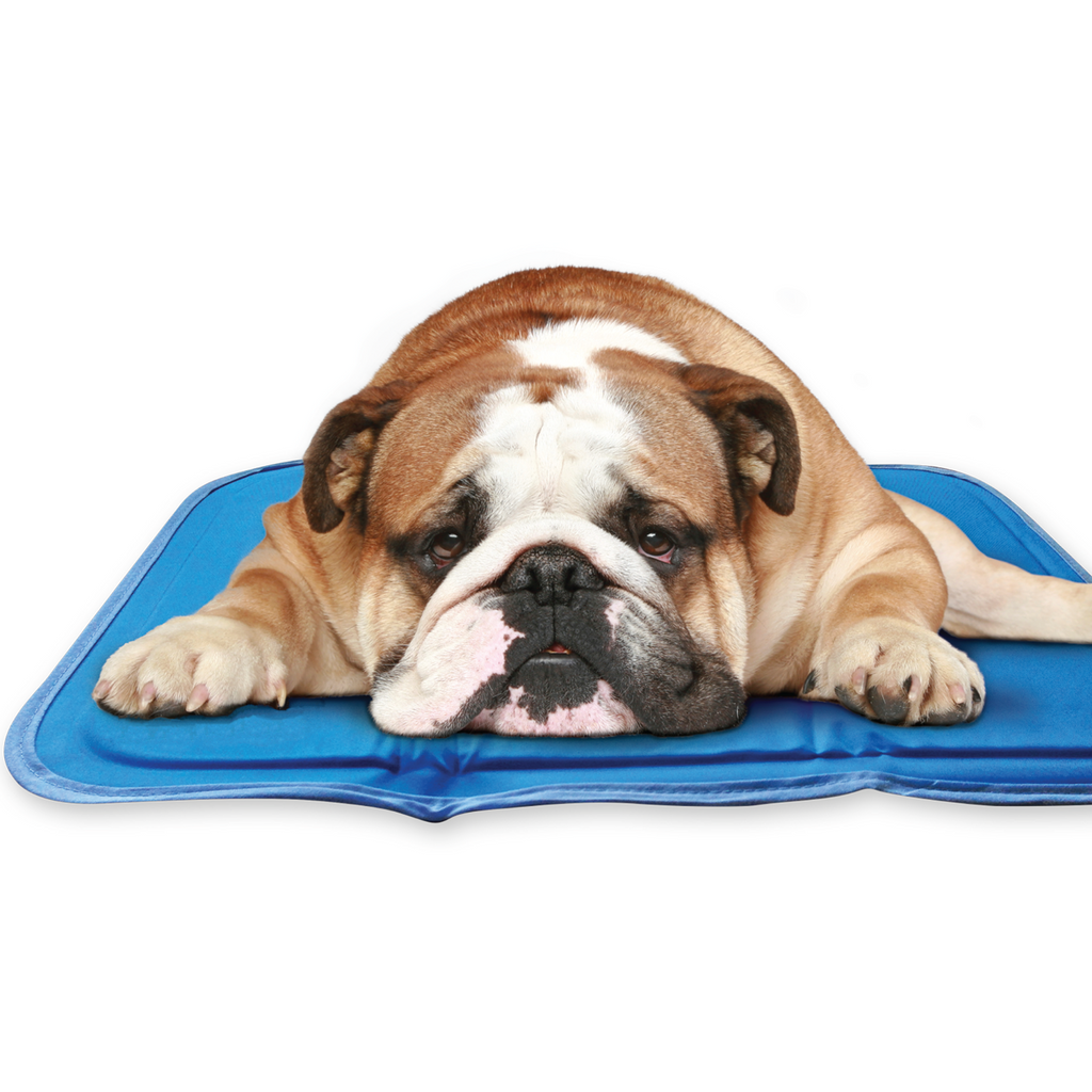 Pressure-Activated Cooling Pet Pad product image 9