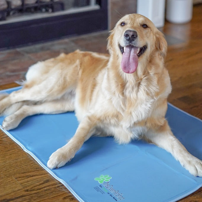 Pressure-Activated Cooling Pet Pad product image 12