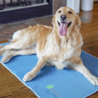 Pressure-Activated Cooling Pet Pad product image 12
