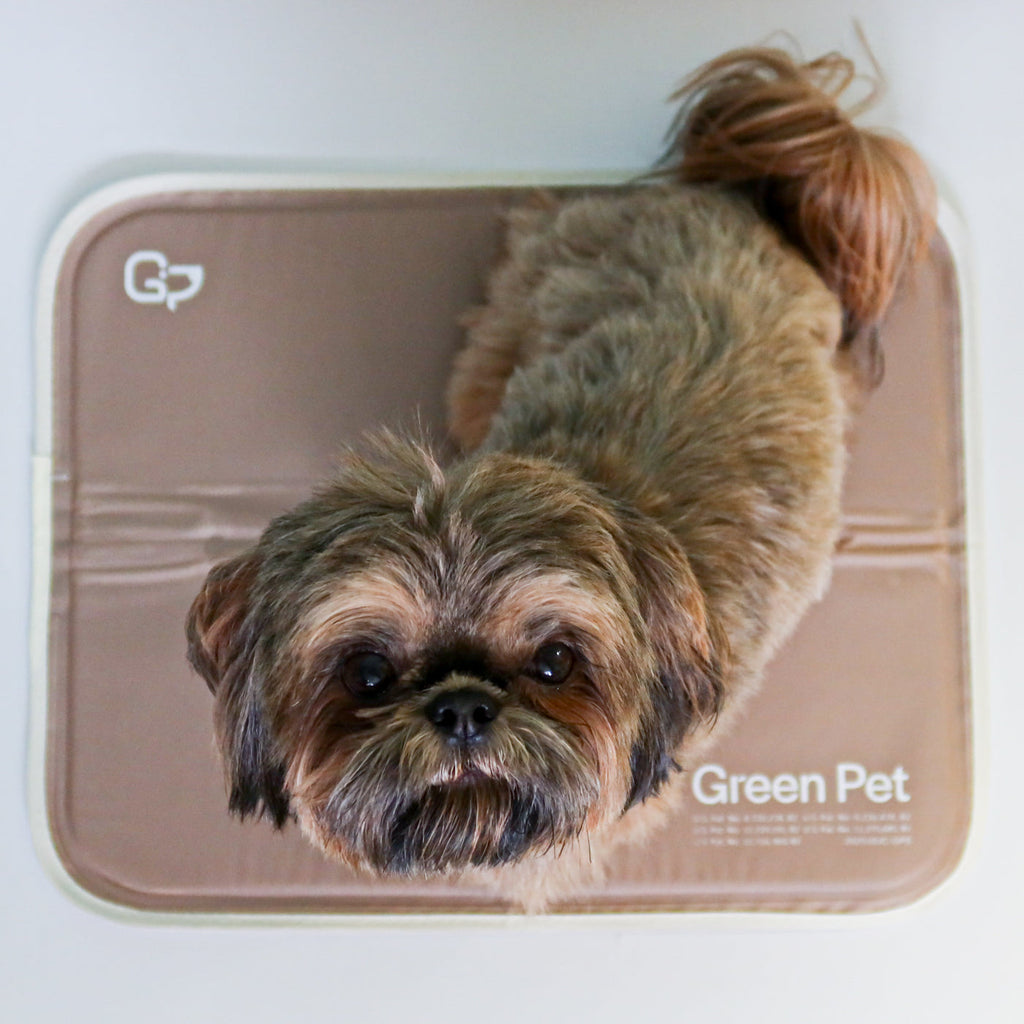 Pressure-Activated Cooling Pet Pad product image 13