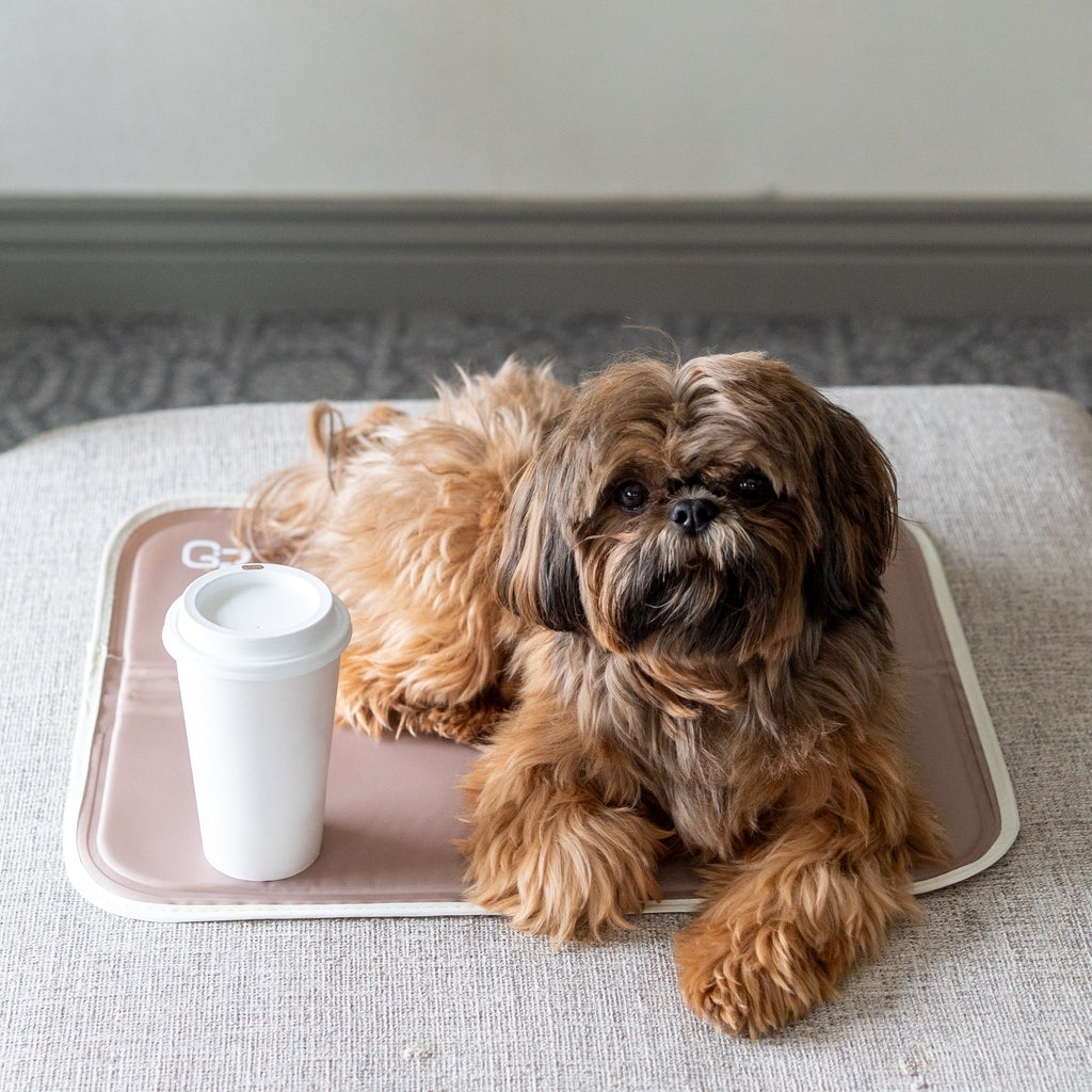 Pressure-Activated Cooling Pet Pad product image 14