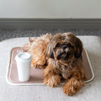 Pressure-Activated Cooling Pet Pad product image 14