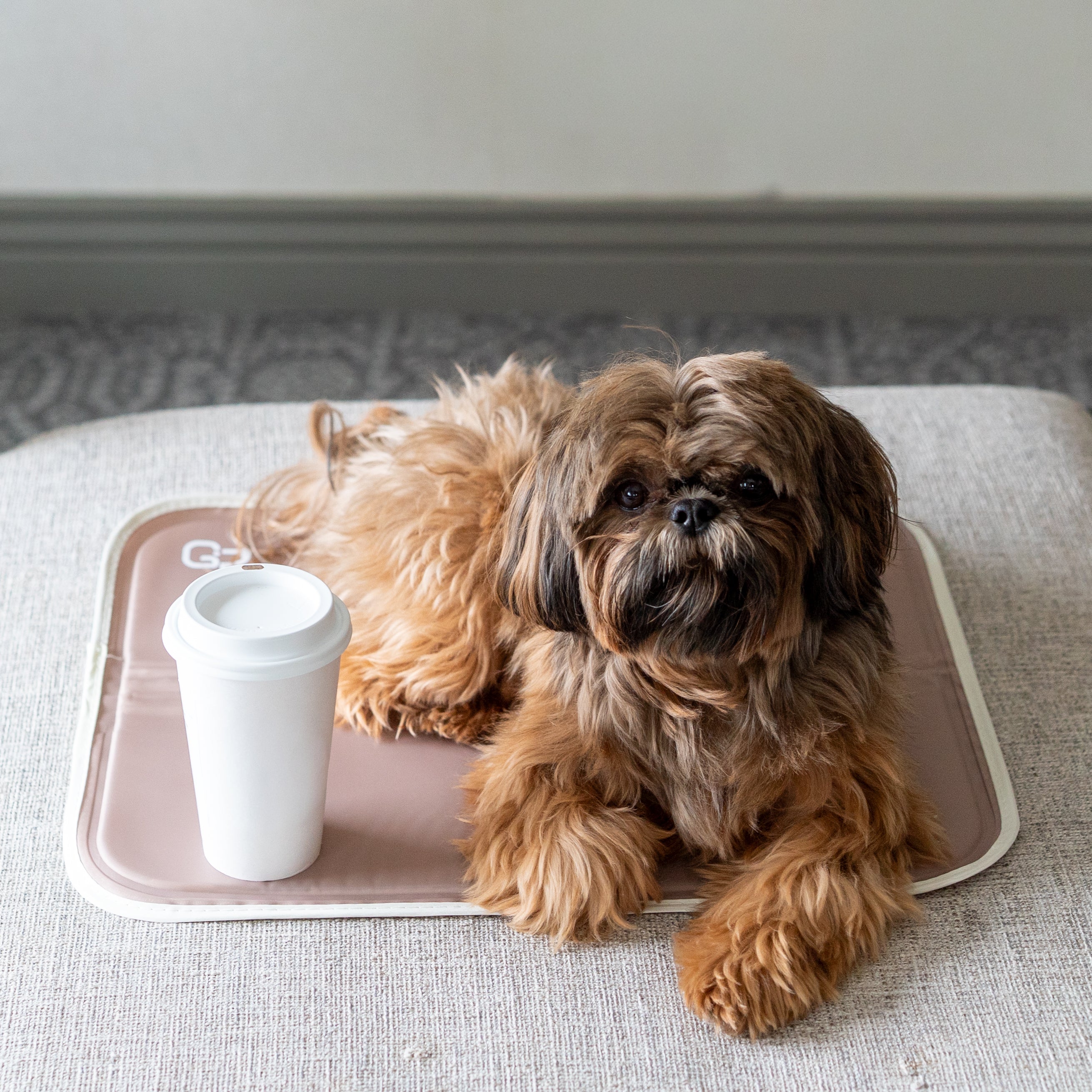 Pressure-Activated Cooling Pet Pad product image 14