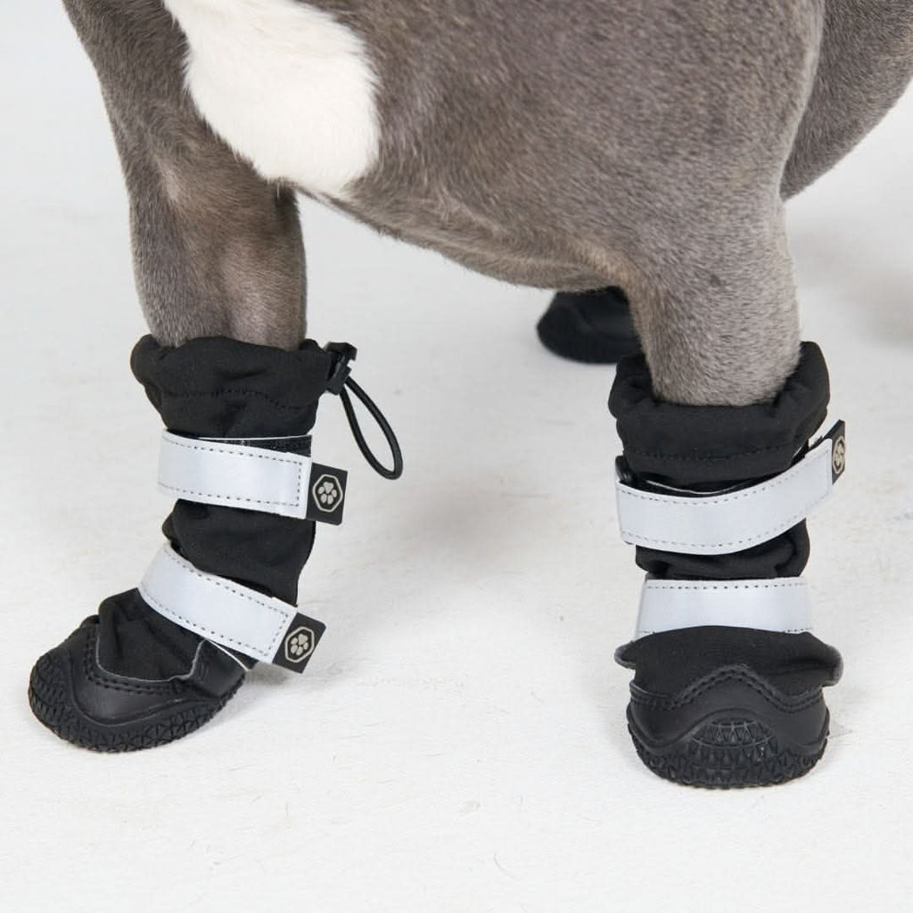 Dog Rain Boots product image 3