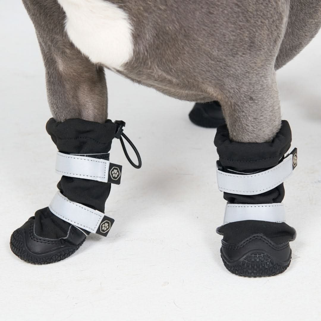 Dog Rain Boots product image 3
