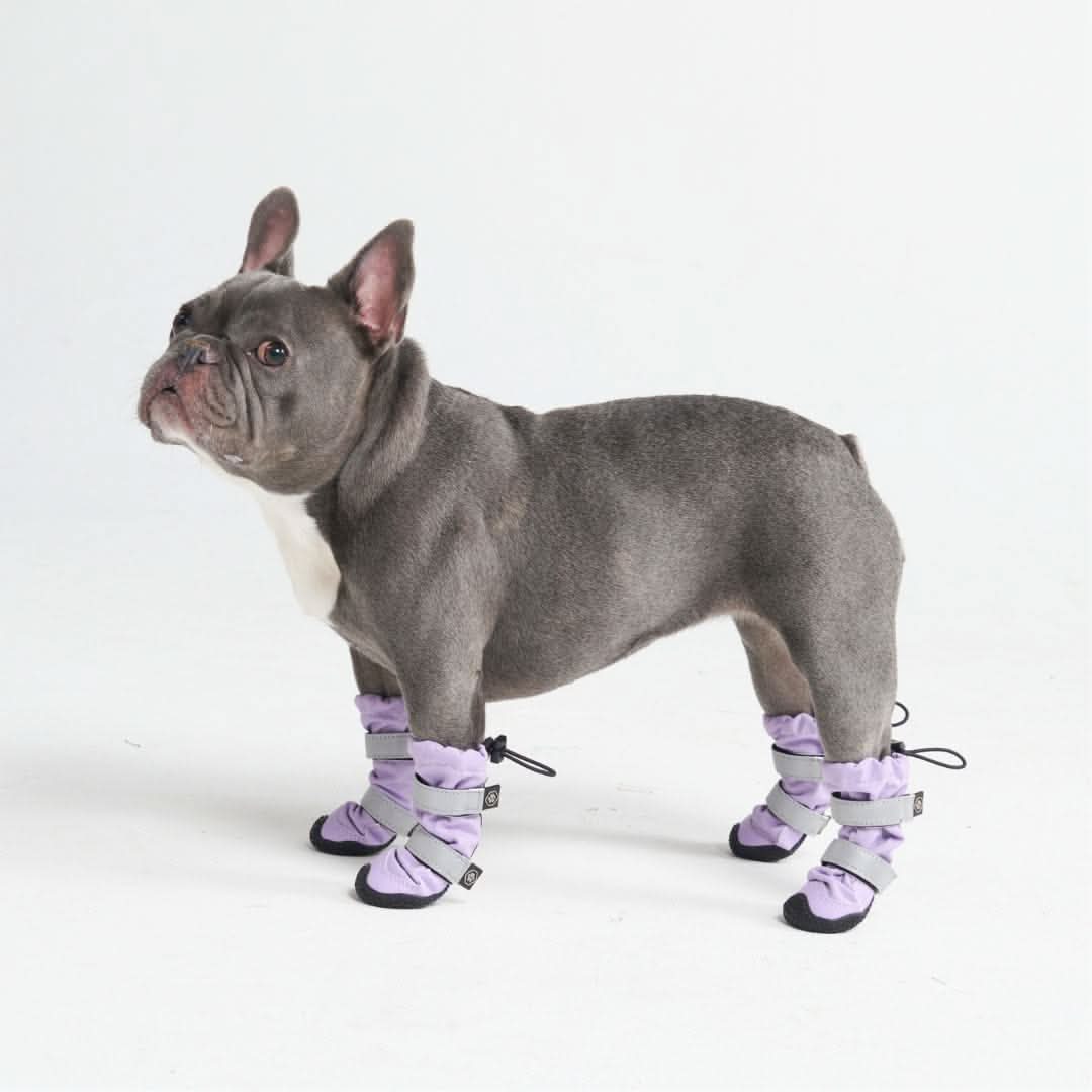 Dog Rain Boots product image 10