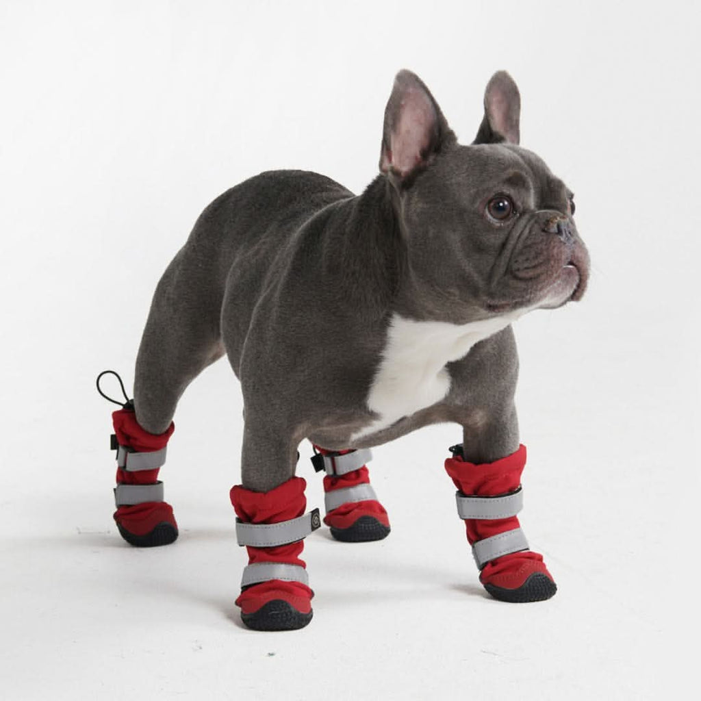 Dog Rain Boots product image 14