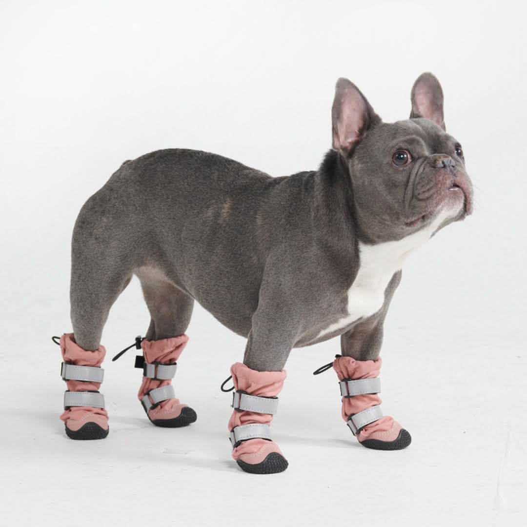 Dog Rain Boots product image 18