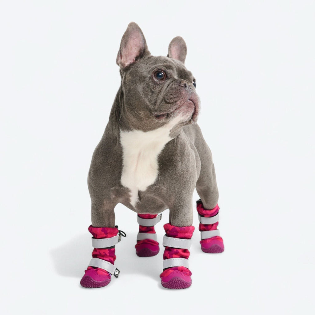 Dog Rain Boots product image 42