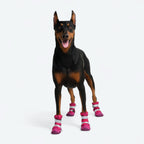 Dog Rain Boots product image 44