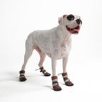 Dog Rain Boots product image 49