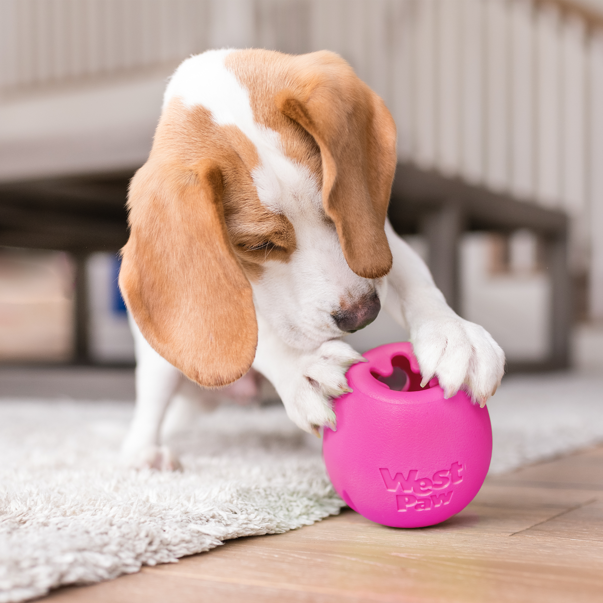 Treat-Dispensing Puzzle Dog Toy product image 6