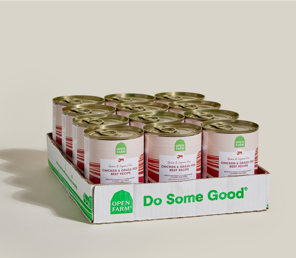 Chicken and Beef Dog Pâté product image 7