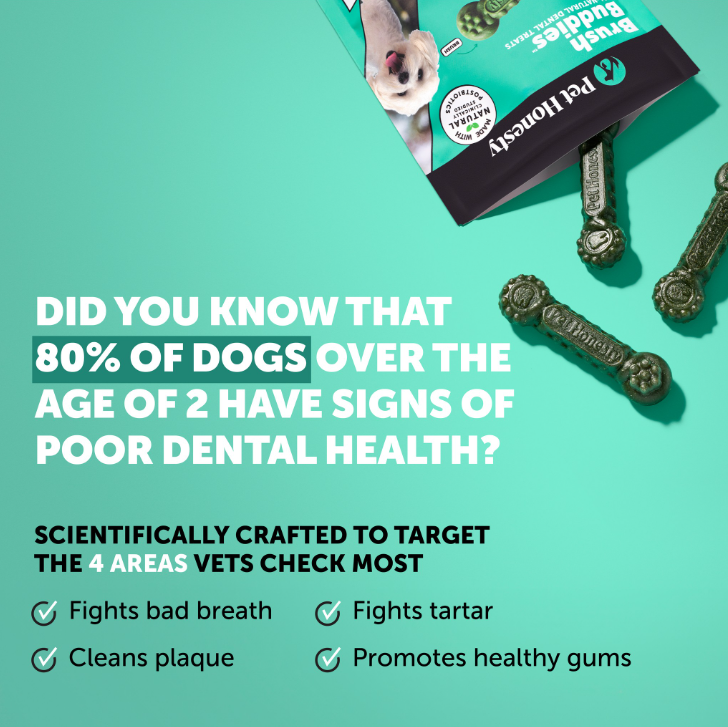 Dog Dental Chews product image 2