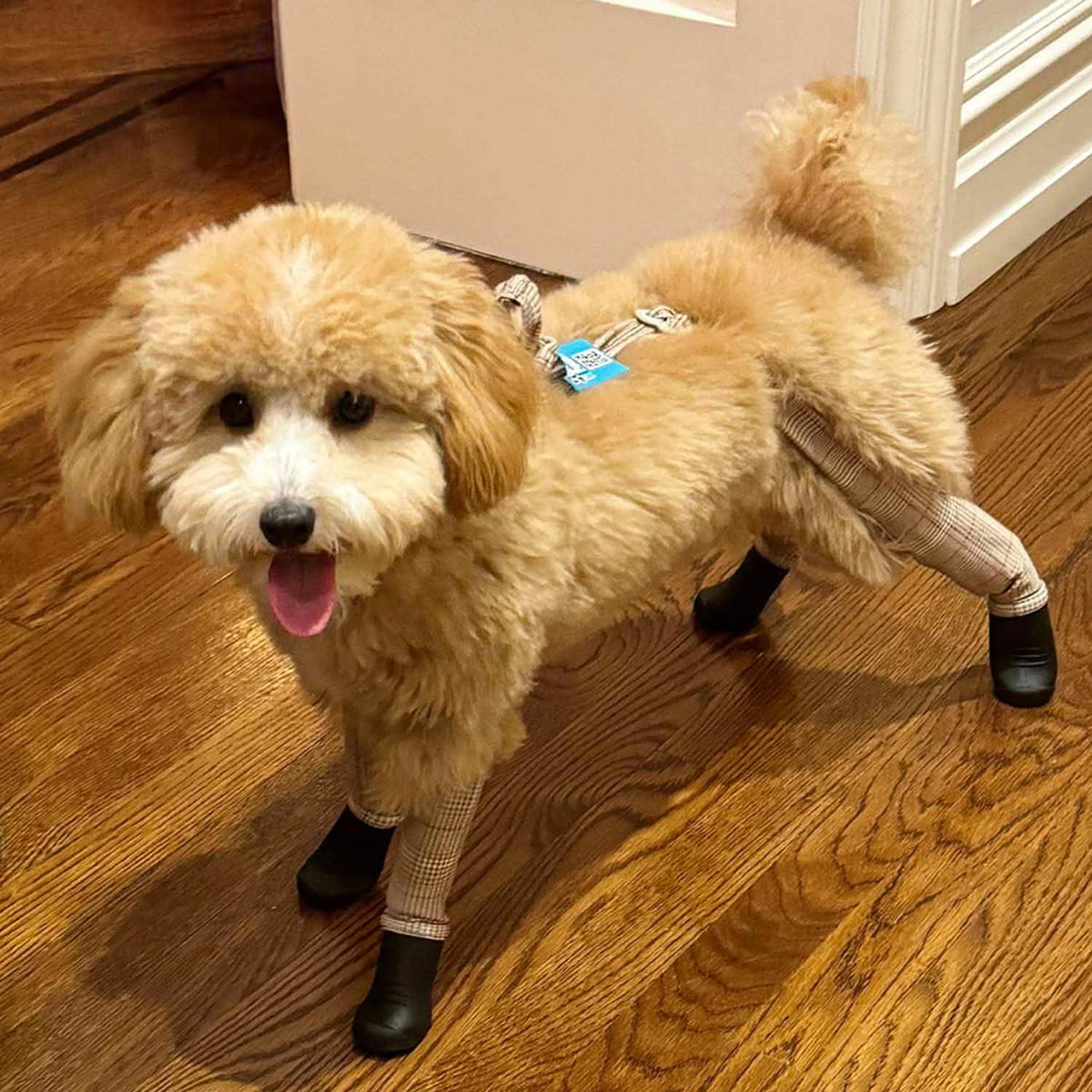 Waterproof Dog Boot Leggings product image 15