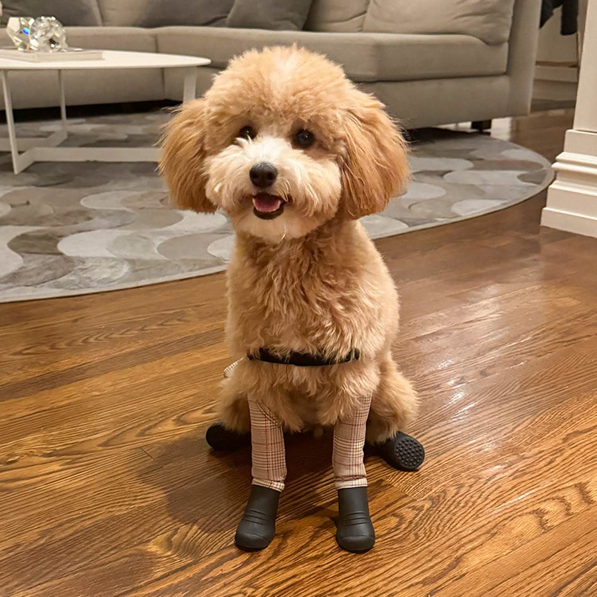 Waterproof Dog Boot Leggings product image 20