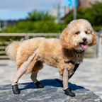 Waterproof Dog Boot Leggings product image 21