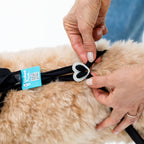 Waterproof Dog Boot Leggings product image 24