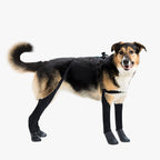 Waterproof Dog Boot Leggings product image 38
