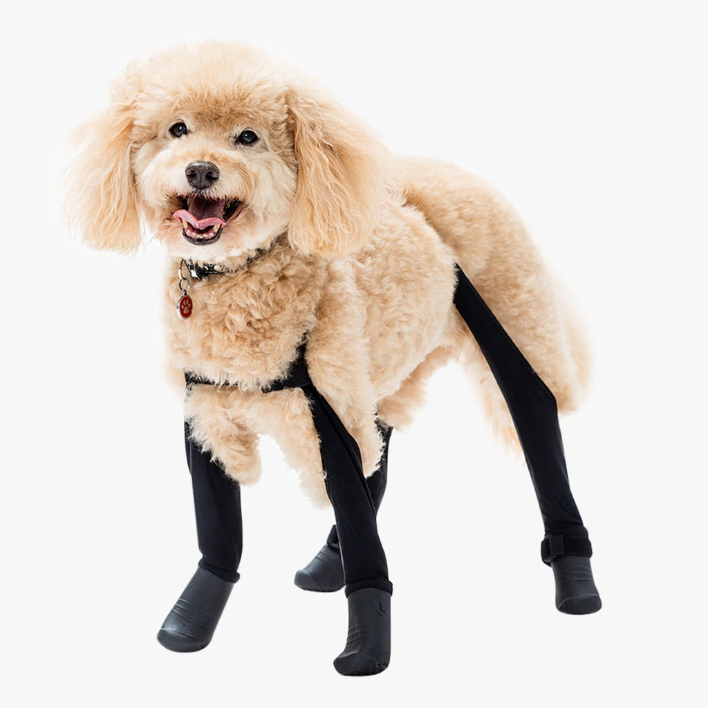 Waterproof Dog Boot Leggings product image 40