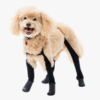 Waterproof Dog Boot Leggings product image 40