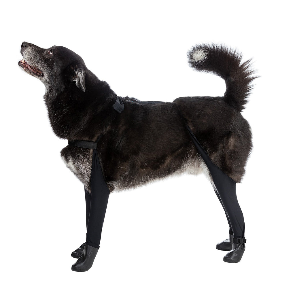 Waterproof Dog Boot Leggings product image 41
