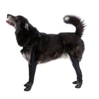 Waterproof Dog Boot Leggings product image 41