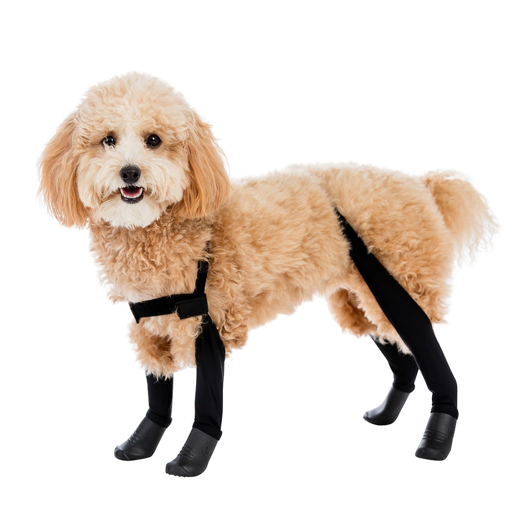 Waterproof Dog Boot Leggings product image 42