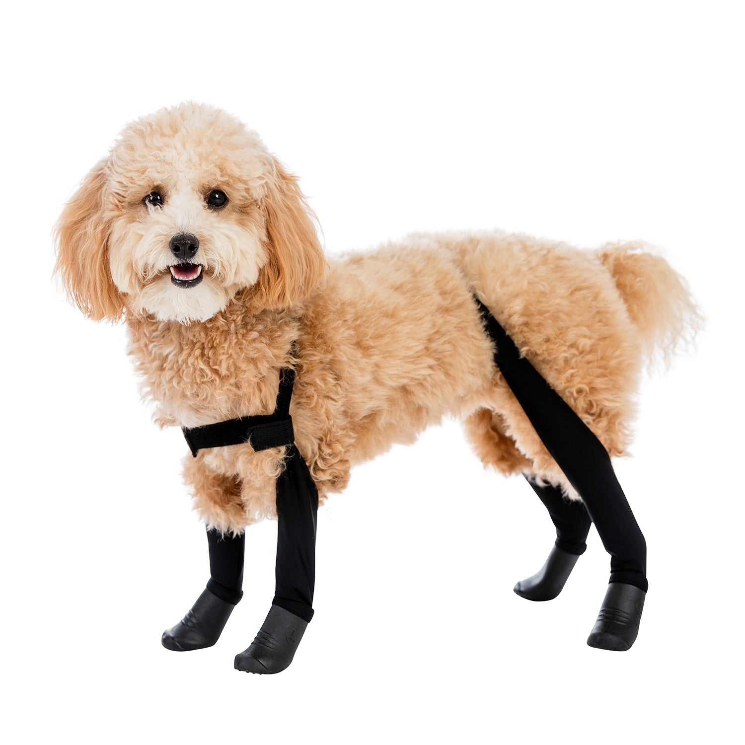 Waterproof Dog Boot Leggings product image 42