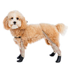 Waterproof Dog Boot Leggings product image 44