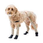 Waterproof Dog Boot Leggings product image 46